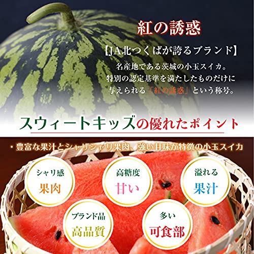 茨城県産　北つくば　紅の誘惑　こだま西瓜スウィートキッズ　6玉入りです。 Amazon.co.jp: スウィートキッズ 紅の誘惑 Mサイズ 6玉 茨城県産ほか